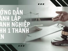 Hướng dẫn thành lập doanh nghiệp TNHH 1 thành viên