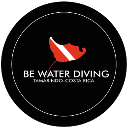 logo be water diving tamarindo