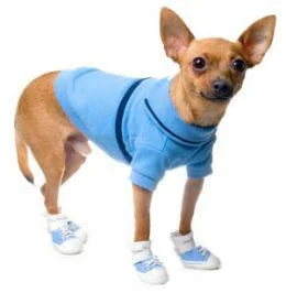 Ropa para Chihuahuas azul