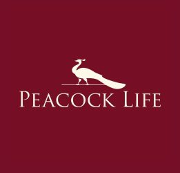 Peacock life logo
