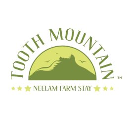 Toothmountain logo