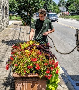 Read more about the article Watering the Container Garden
