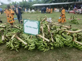 Mbonjo Marché vert