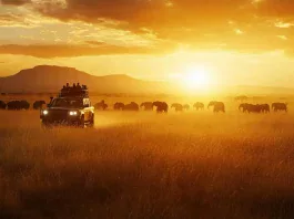 Afrique