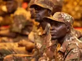 Libération de soldats maliens