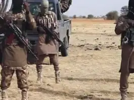 Extrême-Nord Boko Haram