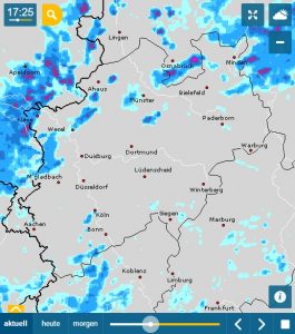 RegenRadar, Web-Version