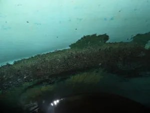 SAM_1232