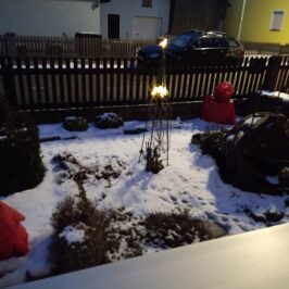 Winterurlaub im Ferienhaus mit Herz für Hunde in Moosbach Bayern