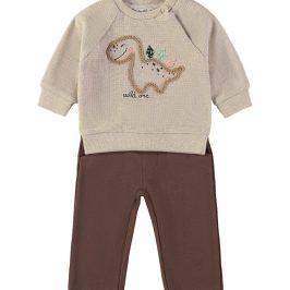 Conjunto algodón pantalón bolsillos dino BABYBOL