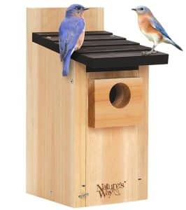 Nature'S Way Bird House