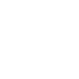 Search tool icon