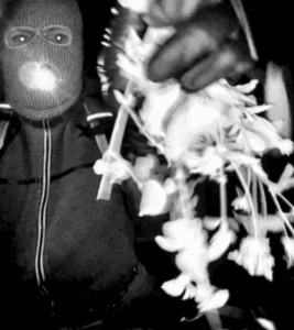 Nancy Guthrie case FBI