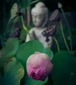 Spirituelles Webdesign für bewusste Selbstständige