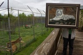 CATC Artwork-3627