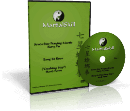 Demonstration of Bong Bo Kuen ("Crushing Step") hand form in martial arts training.