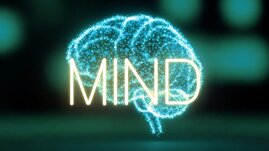 人間の脳。思考の塊