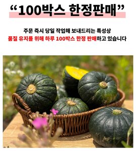 다이어트 간식 추천