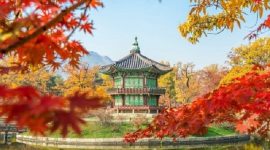 Korea Selatan, negara yang kaya akan sejarah. (Pixabay.com/huongnguyen123)
