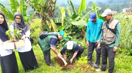 FKDT, FPP turut serta melakukan penanaman pohon bersama Kemenag Kabupaten, Subang, KUA, MTs, MI se-Subang Selatan serta Pemdes Cupunagara.