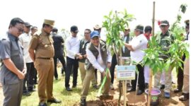 Usai penanaman pohon, Wamenhut bersama Bupati Sumedang H. Dony Ahmad Munir berdiskusi mengenai sejumlah kebutuhan strategis warga.