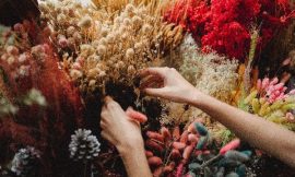 Learn & Start Your Own Small Business