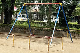 【公園】遠隔操作カメラシステム