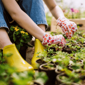 Green thumb on a budget! Gardening pros share their favorite tips for saving money on your summer garden upgrades. Gardening on a budget has never been easier! #gardening #gardeningtips #savingmoney #howtogarden #gardening101 #summergarden #gardeningforbeginners #howtosavemoney #moneytips #gardeninghacks