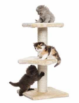 Cat Tree