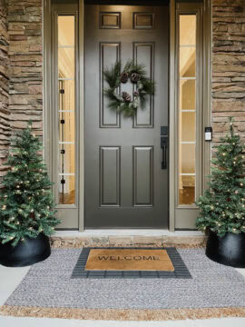 seal skin sherwin williams front door