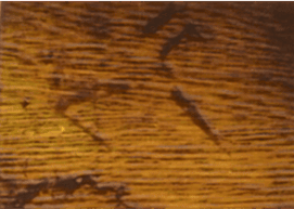 The “tool mark”. Crime scene photograph.