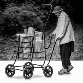 what features are important for a shopping cart