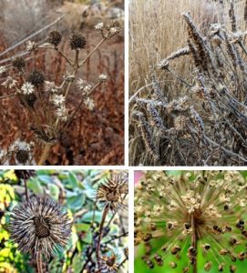 Read more about the article Let’s Not Put the Garden to Bed