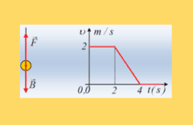 Δυνάμεις και δράση-αντίδραση.