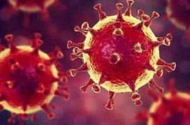 Κορωνοϊός-Ένα κοσμοϊστορικό γεγονός