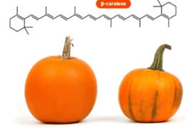 Pumpkins