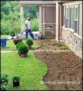 Read more about the article A Great Lawn is More Than Grass