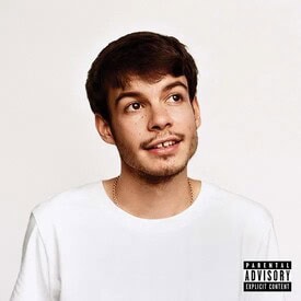 Rex Orange County-Pony Rex Orange County LP   AT