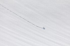 Snowball Effect