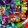Adobe CC 2014 COMPLETE Master Collection