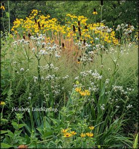 Read more about the article Free Seminar- Gardening with Nature