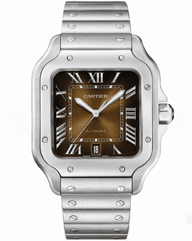 Часы Cartier Santos De Cartier WSSA0064