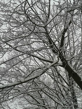 Météo Tarbes : pas de neige (a priori) ce week end à Tarbes