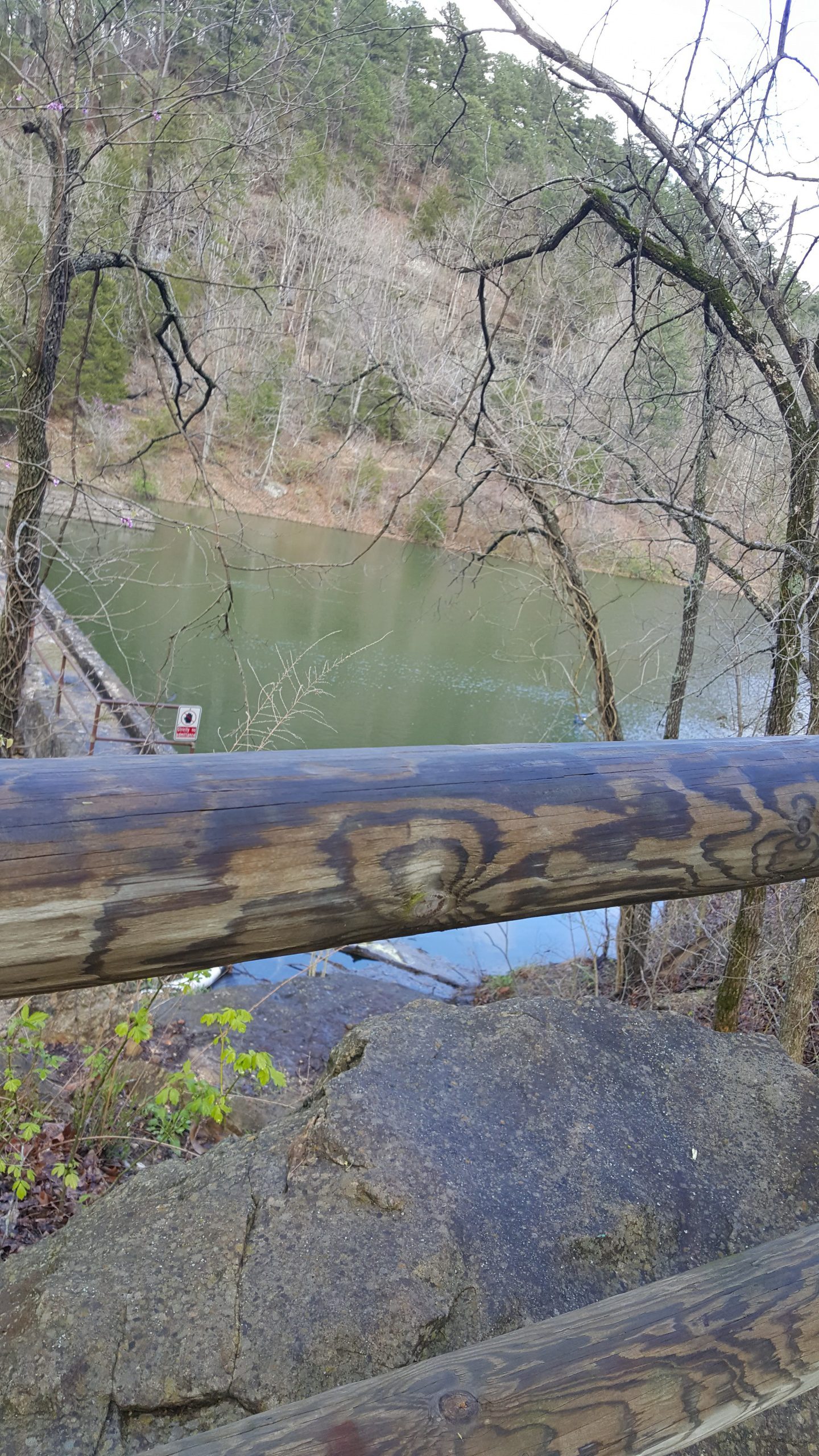 Black Bass Lake eureka springs arkansas ozarks in-town hikes hiking summer vacation nature