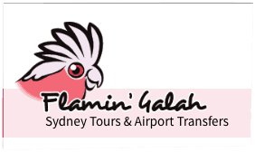 Flamin' Galah - Sydney Tours and airport transfers
