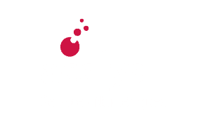 Acelys Services Numériques en blanc
