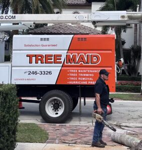 Delray Beach Tree Stump Removal | Expert Tree Services, Palm Trimming, & Tree Care in Lake Worth & Palm Beach County | Delray Beach is known for its lush landscapes and beautiful foliage, but when a tree is cut down, the stump left behind can pose various challenges. This article provides an in-depth look at the importance of tree stump removal, the processes involved, the tools and techniques used, and the considerations for hiring professional services. It also highlights post-removal care to restore the landscape effectively. Tree Stump Removal https://www.treemaid.com Tree stump removal Delray Beach. Tree service & removal for Delray Beach by Tree Maid