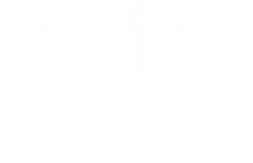 Forbes Business Council Logo white