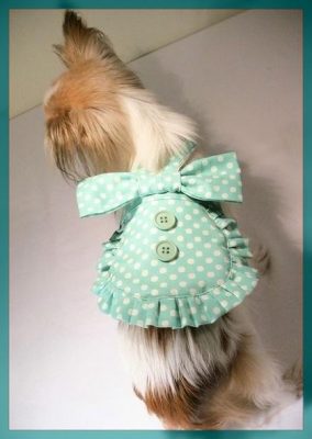 como hacer ropa para perritas pequeñas