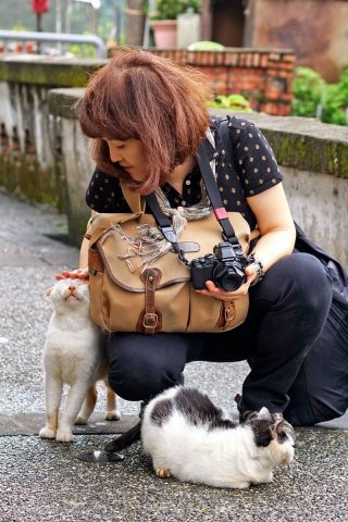 猴硐猫村